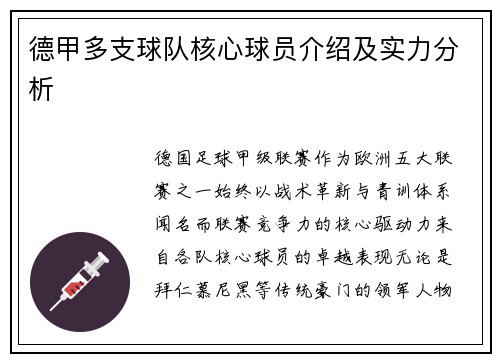 德甲多支球队核心球员介绍及实力分析